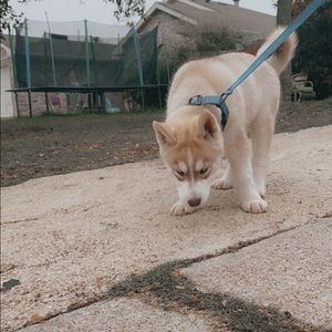 Meet your Posher, Valeria